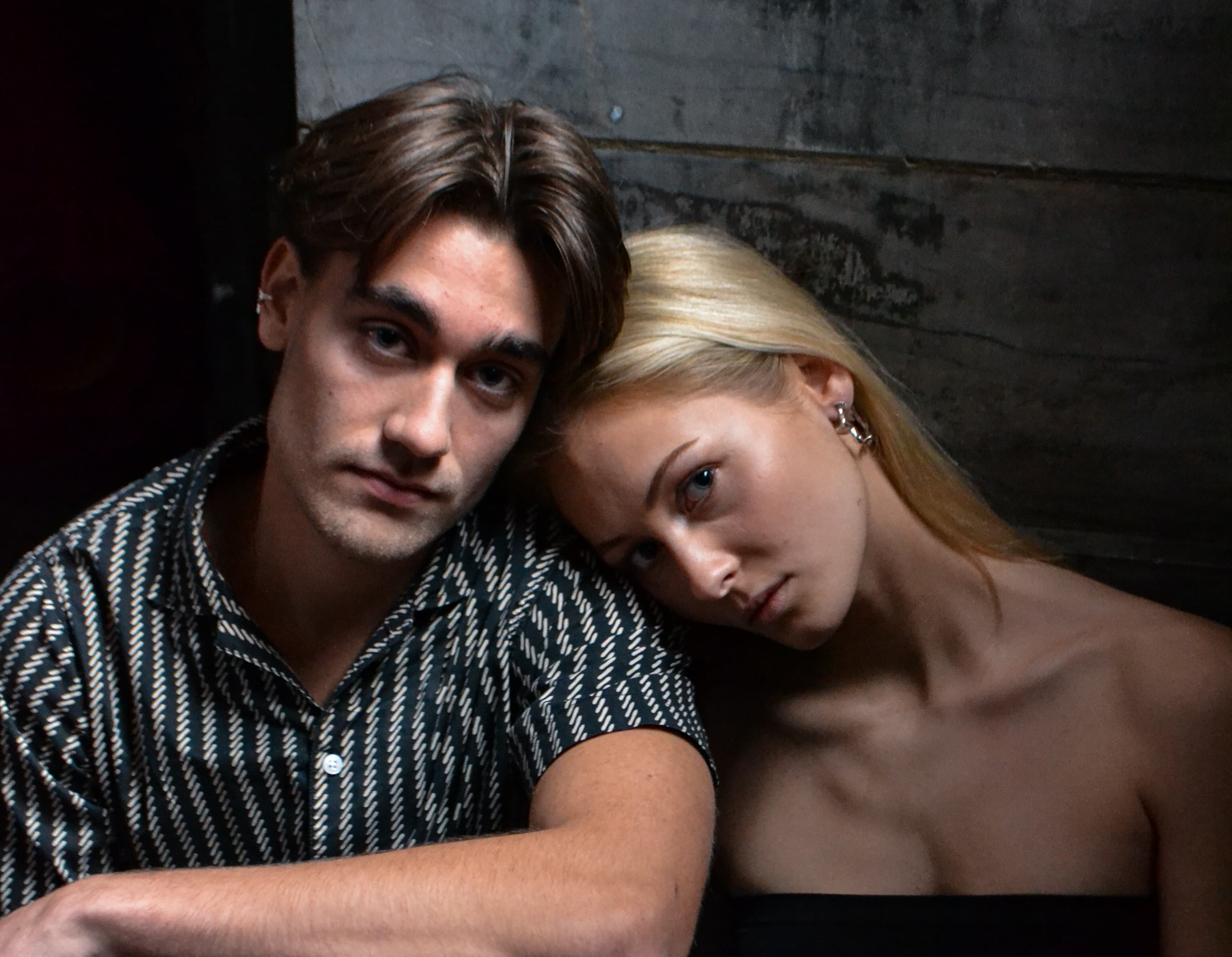 Dandelion - billede 4