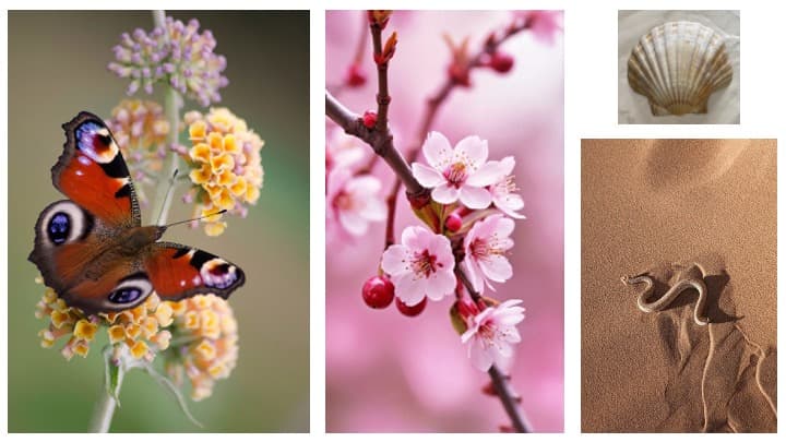 Research & Inspiration - billede 2